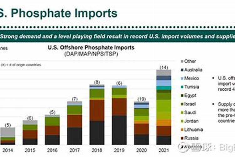 松花菜的种植方法和时间