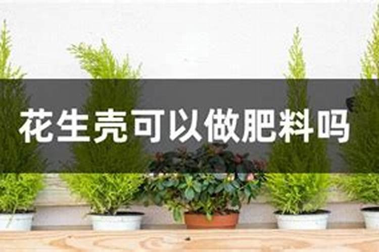 氢氧化氮的化学式是N2OH吗