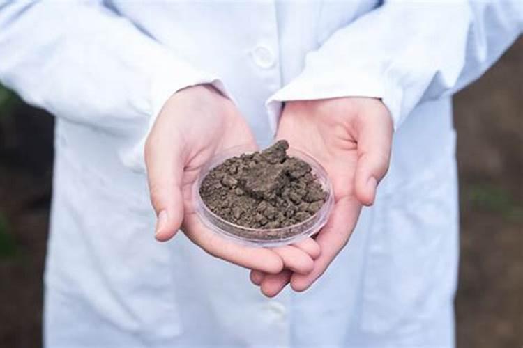 怎样判别化肥的肥效好坏