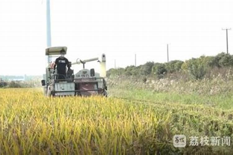 农大控释肥价格