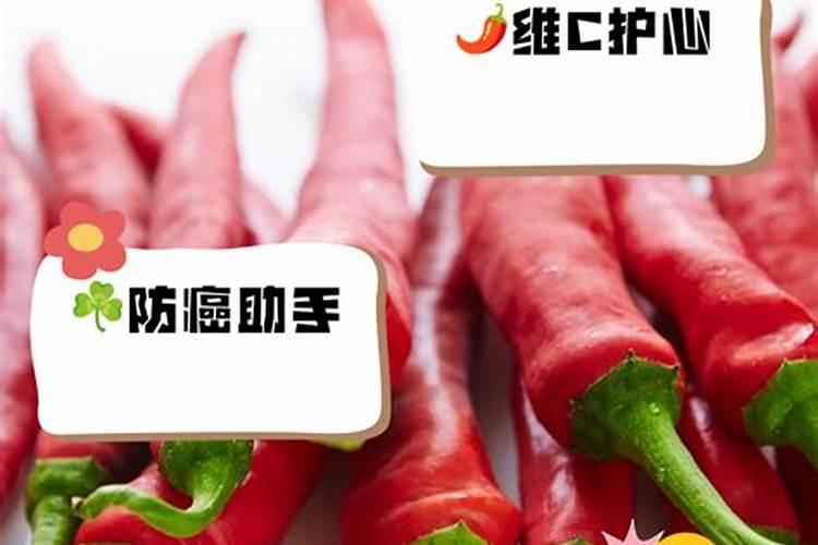猫不能吃什么