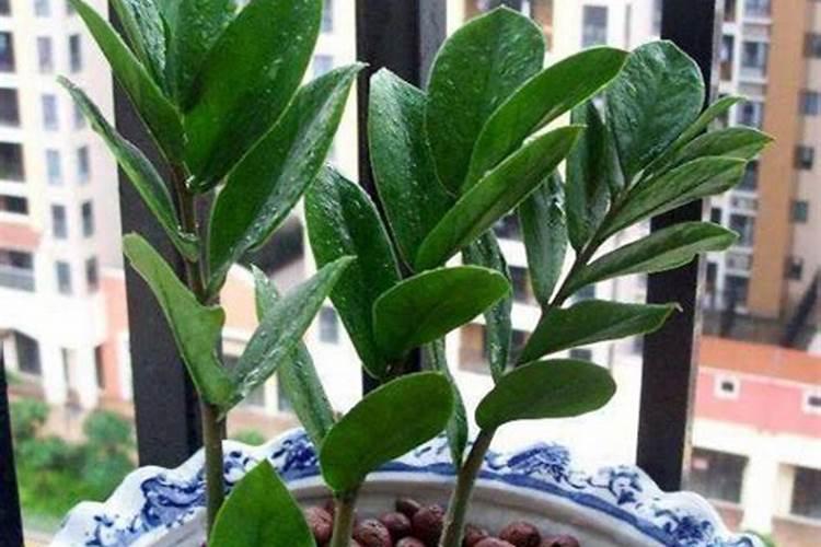 格兰富水泵(上海)有限公司公司简介