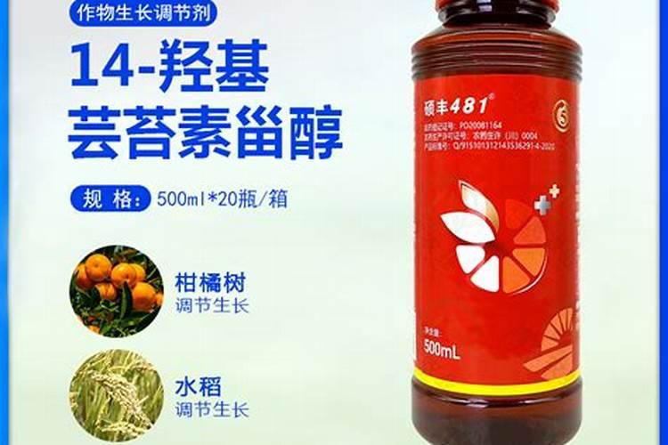 芸苔素与海藻精区别