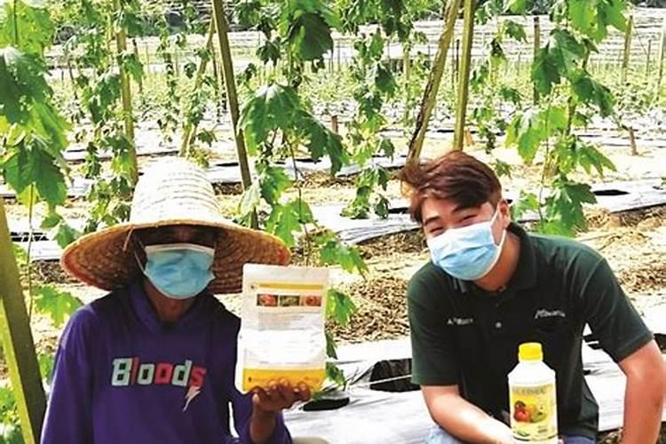 不含钾和磷的水果和蔬菜