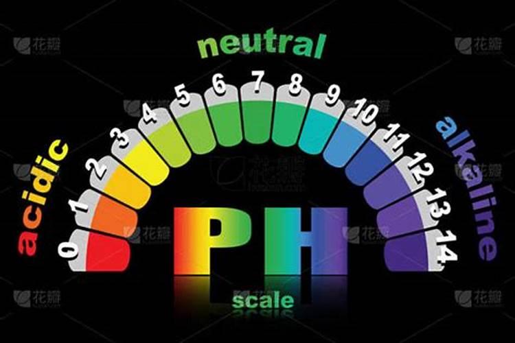 张北益惠农资有限公司怎么样？