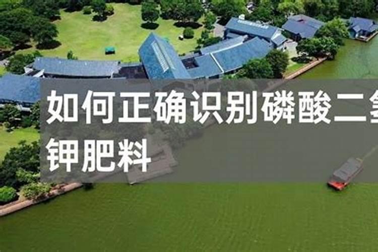 三十烷醇的优缺点三十烷醇