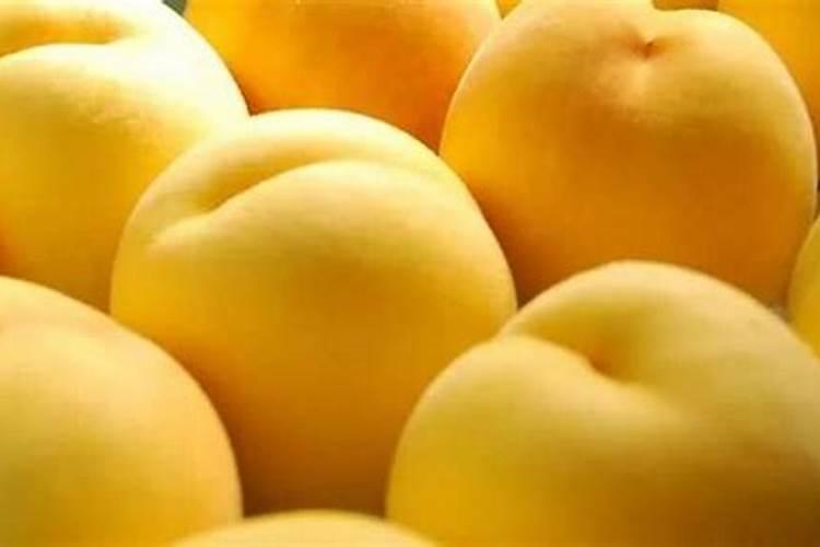 桃树施什么肥好