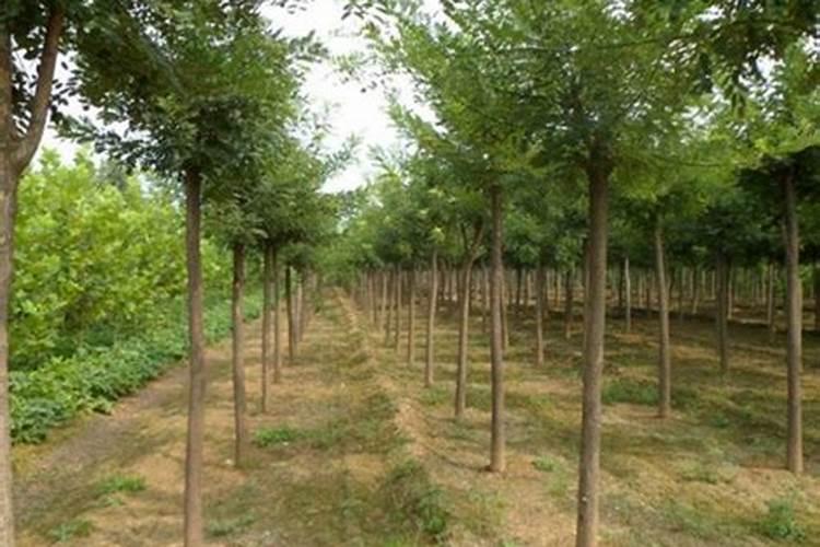 河海大学814水力学是什么