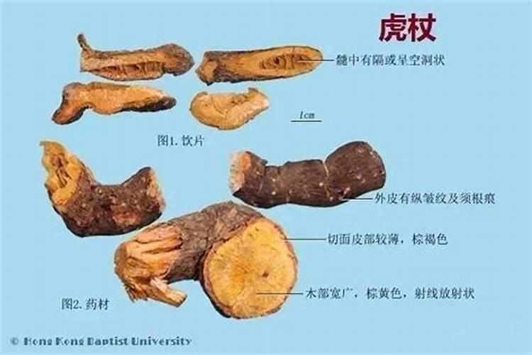 请向我提供一些仓木麻衣的比较好听的歌曲,还有一些资料。