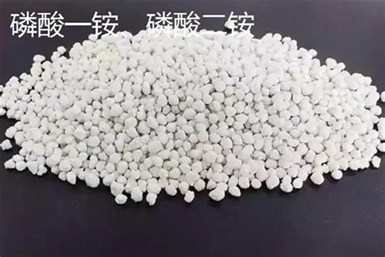 杜鹃花叶面施肥磷酸二氢钾多长时间施一次