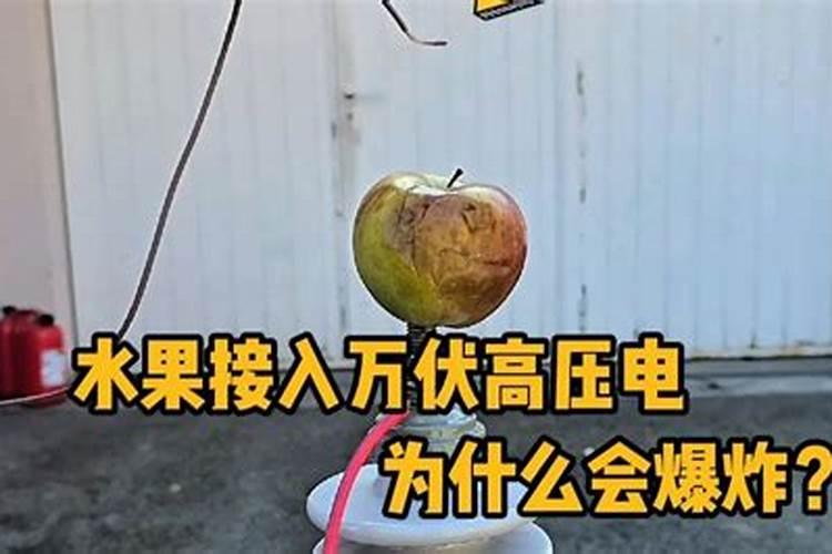 烂水果可以发酵做肥料吗