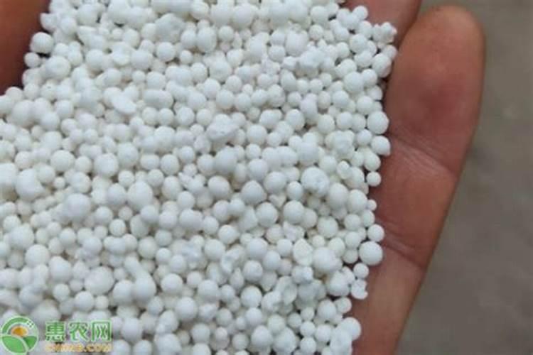 种菜用什么肥料做底肥 种菜的时候用什么做底肥好