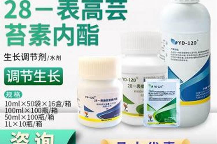 沙地种小麦为什么不高产沙？