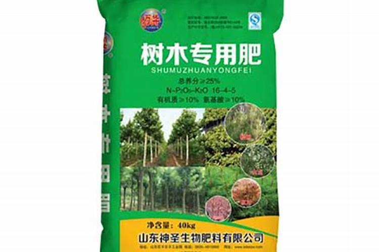 桉树有哪些价值？
