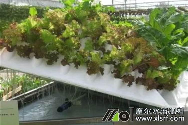 氮肥叶面肥有哪些,氮肥利用率
