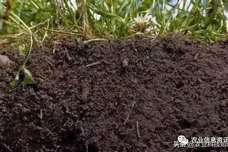 有机质、腐殖质、腐植酸到底有啥区别？