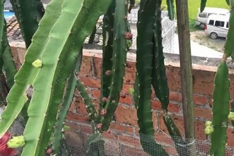 全国最大腐植酸生产厂家