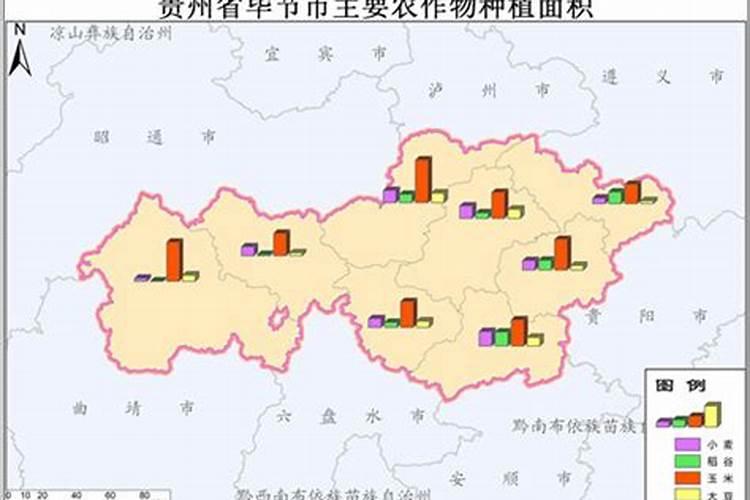 叶面专用肥有哪些种类 哪种叶面肥效果更好