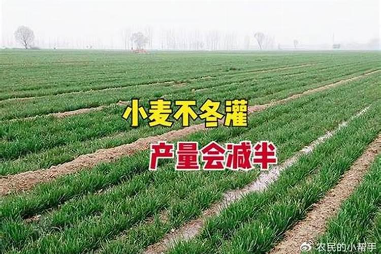 芸乐收是什么农药