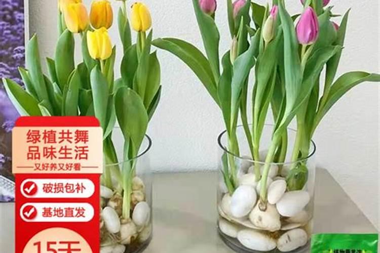 鱼骨头磨成的粉是氮肥磷肥还是钾肥？