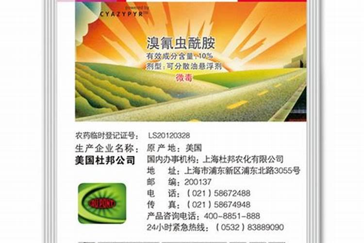 大棚里稻苗有的一块一块白是怎么回事