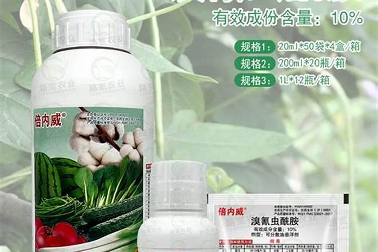 大豆结荚期打什么药