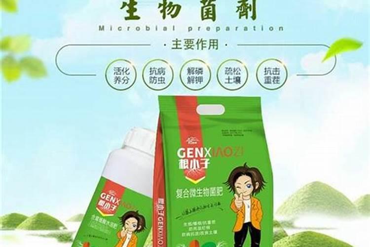 中药材地黄一次冲施多少肥料合适？地黄壮根叶面肥厂家哪家好？