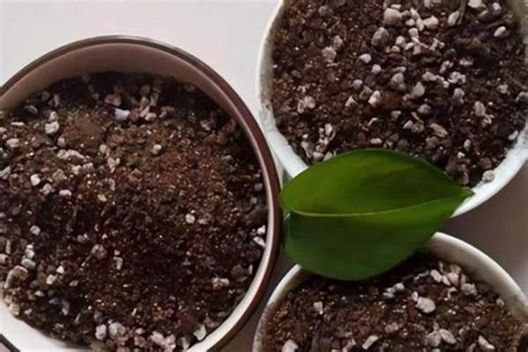 复合肥撒在土壤表面可以吗