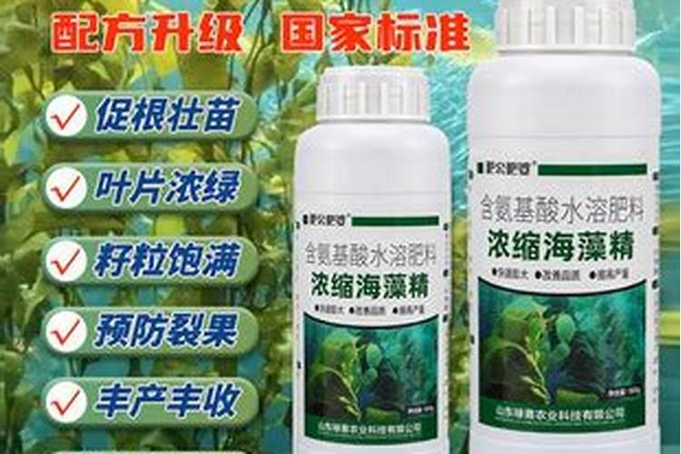 可杀得三千可以和海藻精一起使用吗？