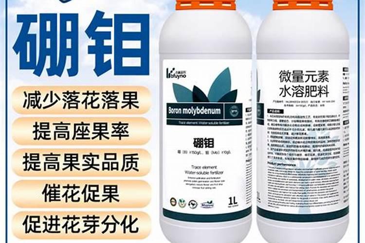 硼肥可以灌根吗？