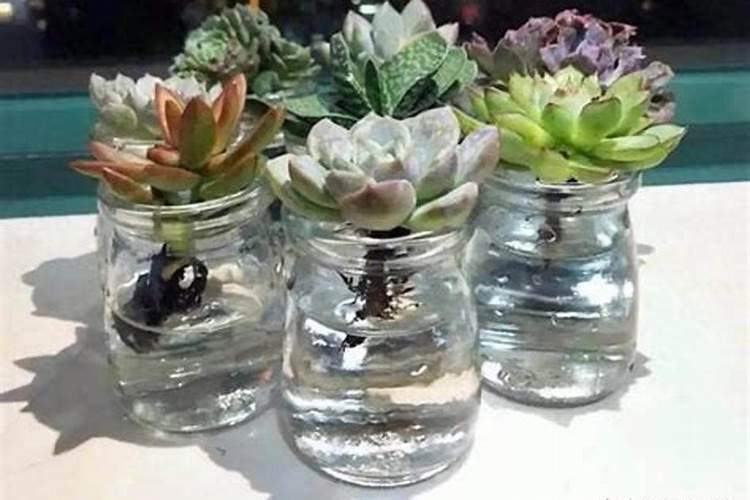 小麦赤霉病什么时候打药最好