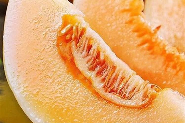 茵多美在使用上有哪些要点