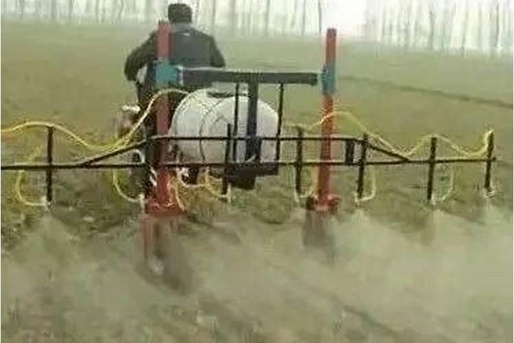 小麦除草剂能和叶面肥混合打吗 什么时候打合适