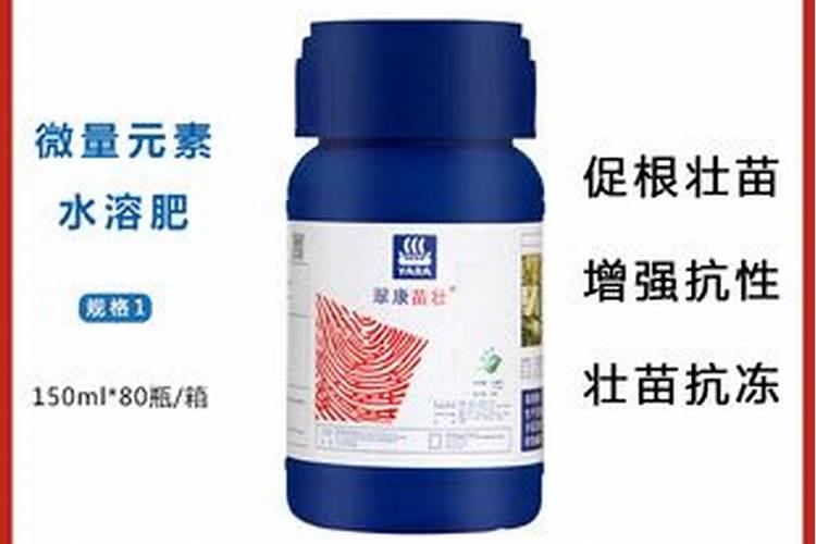 这年头种植白茶有前景吗？