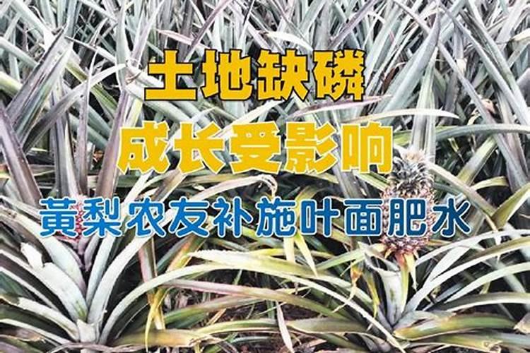 有机磷农药是什么？