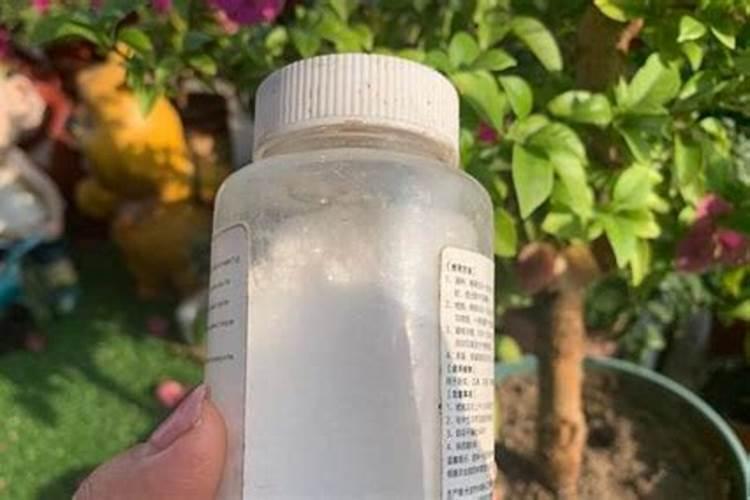 海藻富硒肥一吨多少钱