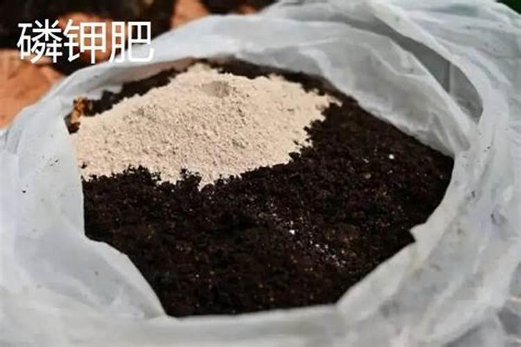 磷肥有哪些 有哪些是磷肥