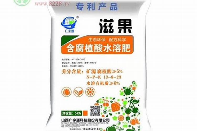 多肉用什么肥料施肥最好