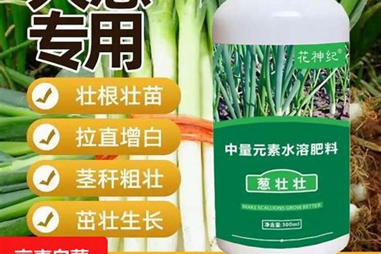 俄罗斯蔬菜水果专用肥料有哪些
