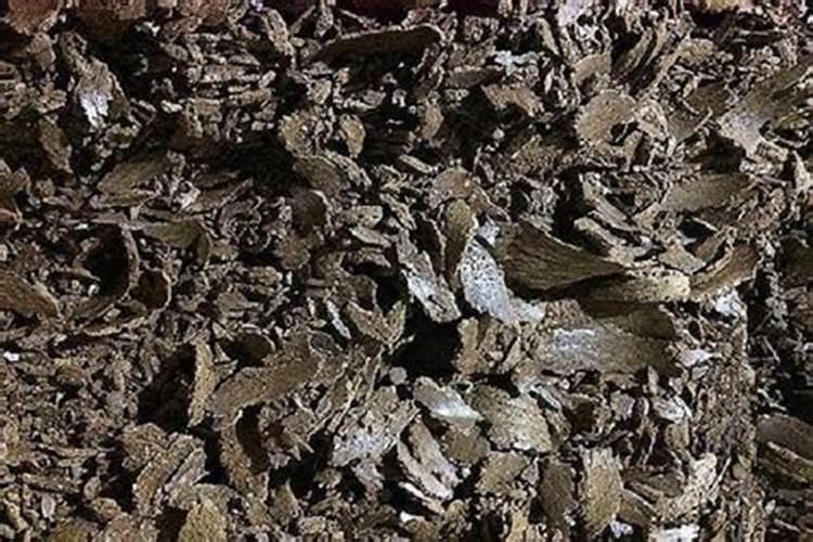 菜籽饼泡水可以直接浇花吗 应该怎么给花施肥