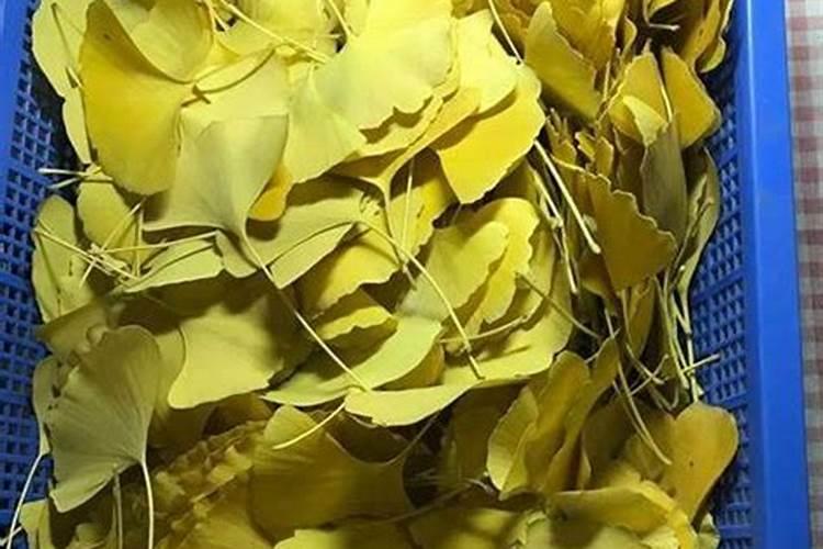 银杏外皮腐熟后可以做种蔬菜的肥料吗