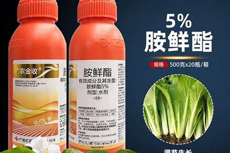 芸苔素与胺鲜酯能一起用吗？