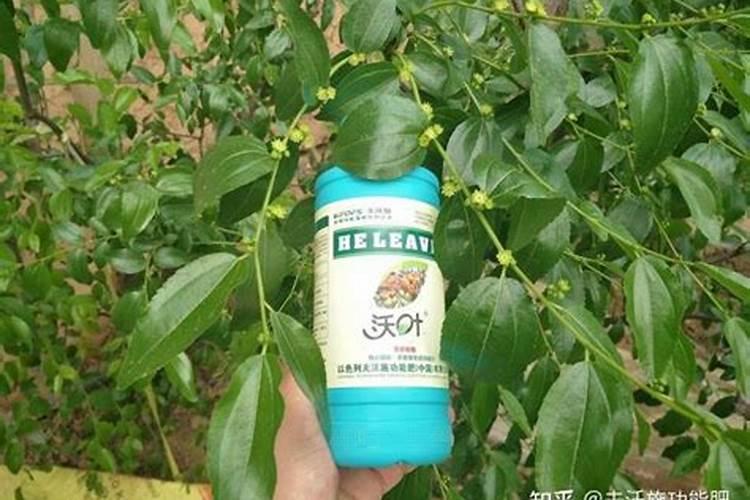 中化腐植酸200l液体桶肥料多少
