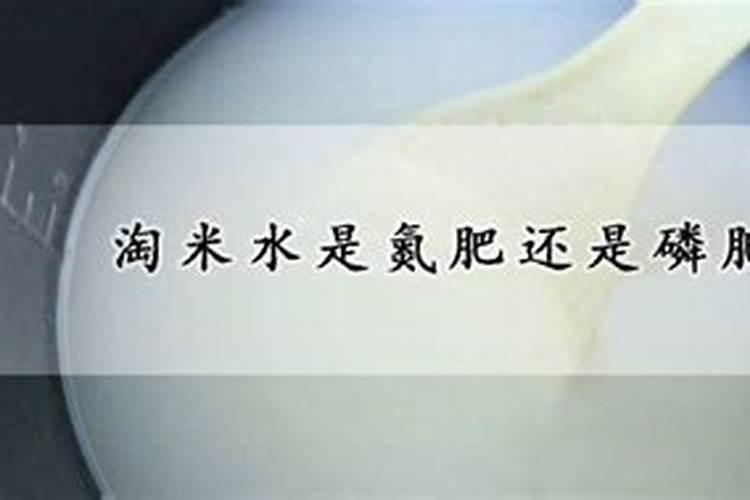 西瓜皮沤肥是氮肥还是钾肥