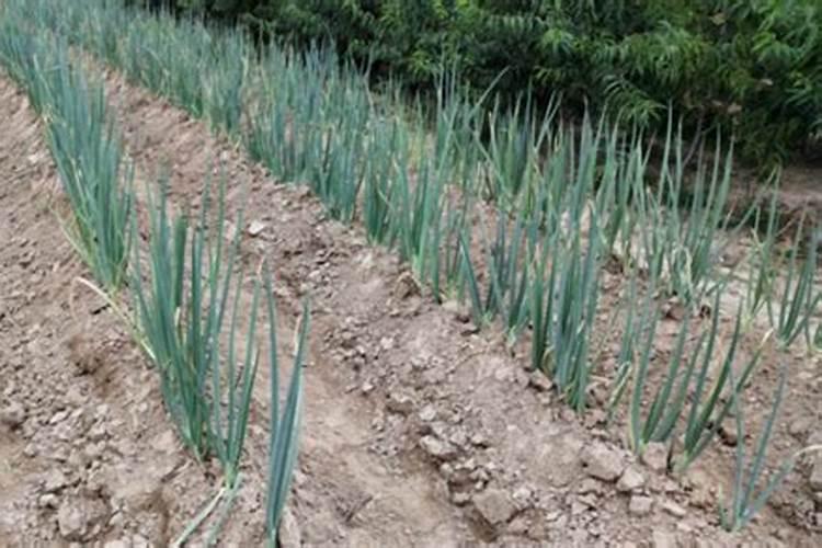 包头市有哪些主要的生产企业或工厂？