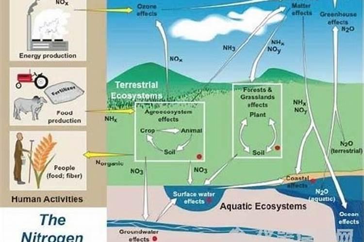 bb肥料是什么肥料