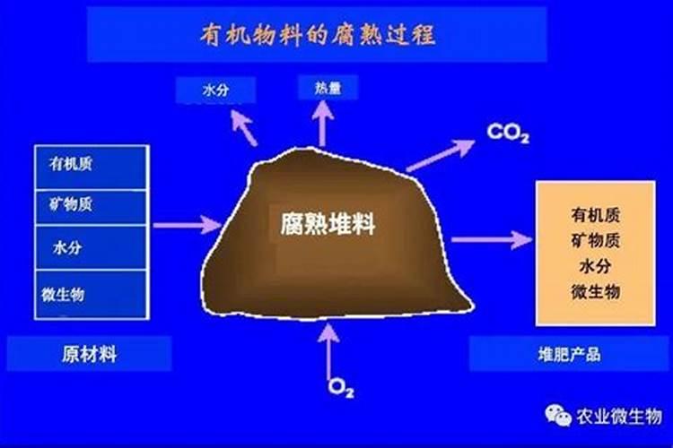 有机肥放置两年会不会失郊