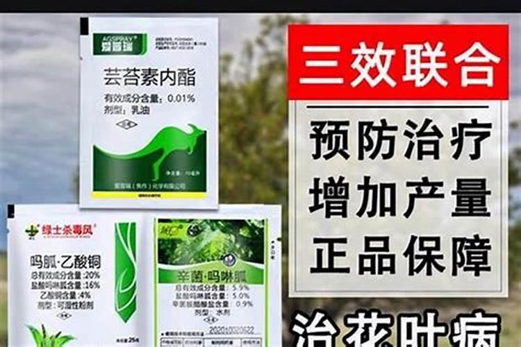 腐殖酸水溶肥厂家批发价？腐殖酸水溶肥的正确使用方法？