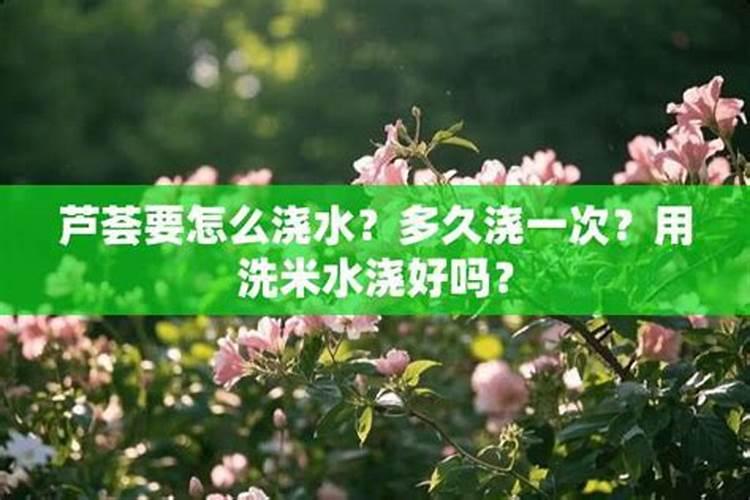 十月半间茶叶树能施氮肥吗？