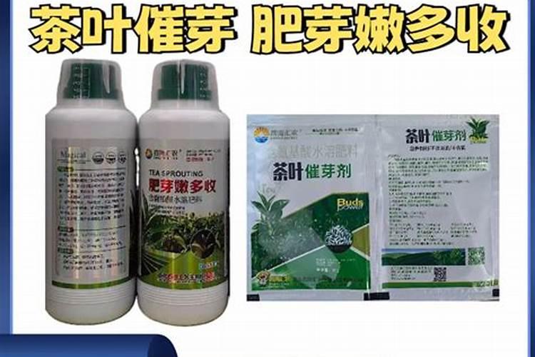 岳西县爱多收农化有限公司怎么样？